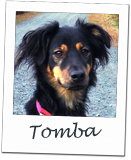 Tomba